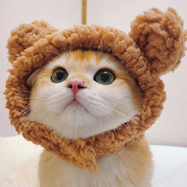 dog apparel pet hat adjustable cartoon solid color plush headgear cat small pography decorate
dog apparel pet hat adjustable cartoon solid color plush headgear cat small pography decorate