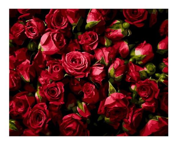 paintings frameless diy painting by numbers picture for home decor still life 4050cm red rose
paintings frameless diy painting by numbers picture for home decor still life 4050cm red rose