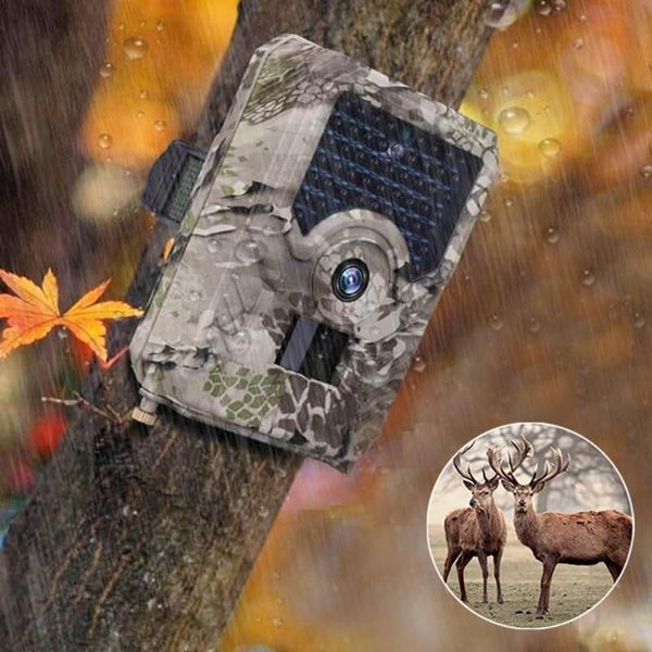 cameras outdoor hunting trail camera 12mp 1080p wildlife detector night vision waterproof video monitor scouting traps track security
cameras outdoor hunting trail camera 12mp 1080p wildlife detector night vision waterproof video monitor scouting traps track security