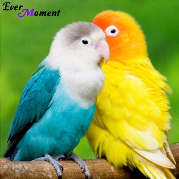 diamond painting diy 5d embroidery animal cross stitch parrot love birds square full mosaic picture pasted needlework asf063
diamond painting diy 5d embroidery animal cross stitch parrot love birds square full mosaic picture pasted needlework asf063