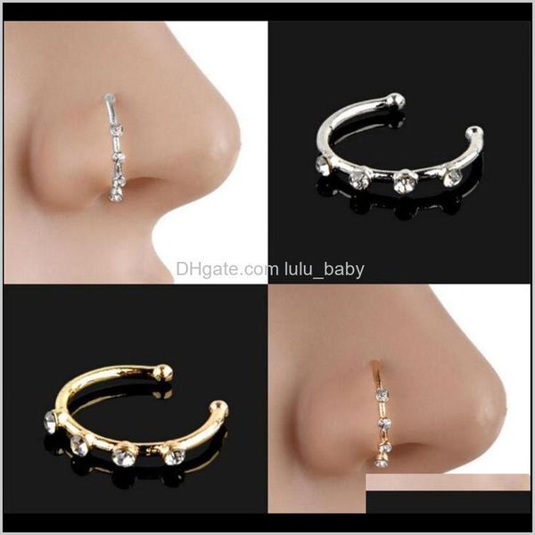 rings & studs drop delivery 2021 gold sier stainless steel crystal rhinestone ring nostril hoop nose body piercing jewelry ph8yt, Silver
rings & studs drop delivery 2021 gold sier stainless steel crystal rhinestone ring nostril hoop nose body piercing jewelry ph8yt, Silver