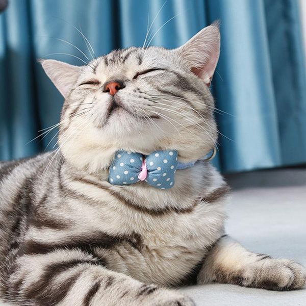 cat collars & leads collar bowknot adjustable safety buckle gatos bow tie accessories dot for chihuahua pet leashes lead
cat collars & leads collar bowknot adjustable safety buckle gatos bow tie accessories dot for chihuahua pet leashes lead