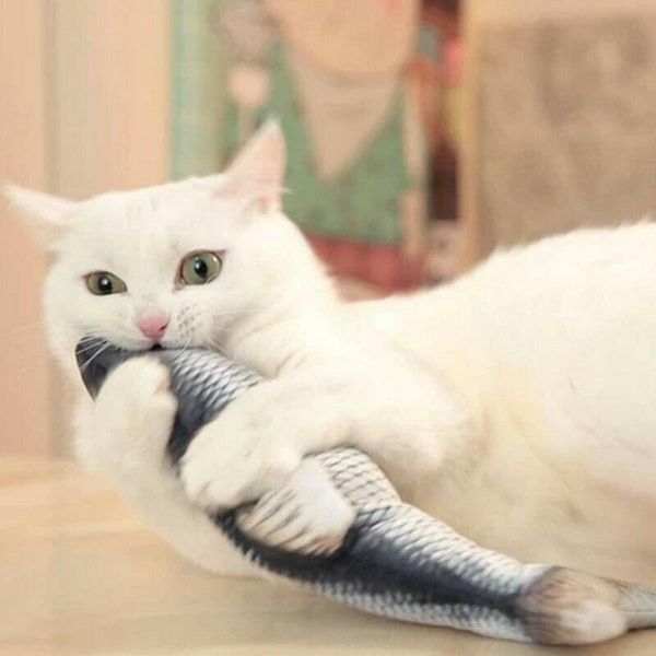cat toys funny electric interactive lifelike fish shape pet kitten teaser cute simulation playing toy catnip pillow doll
cat toys funny electric interactive lifelike fish shape pet kitten teaser cute simulation playing toy catnip pillow doll