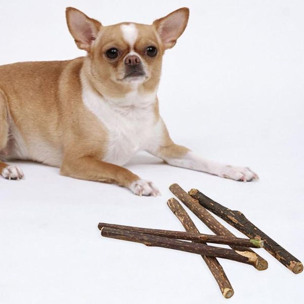 cat toys 10pc apple wood chews sticks twigs for small pets guinea pig parrot pet squirrel natural parrots rabbits
cat toys 10pc apple wood chews sticks twigs for small pets guinea pig parrot pet squirrel natural parrots rabbits