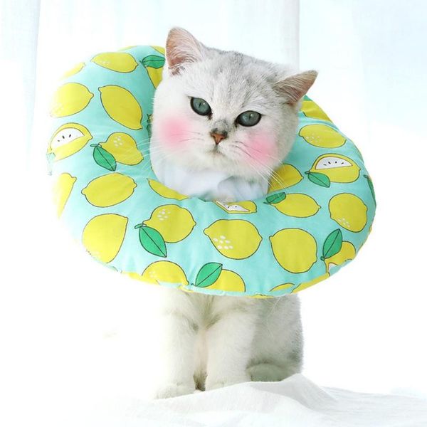 elastic collar easy to wear pet cotton elizabeth protective recovery for preventing licking wound cat cute neck protector collars & leads
elastic collar easy to wear pet cotton elizabeth protective recovery for preventing licking wound cat cute neck protector collars & leads