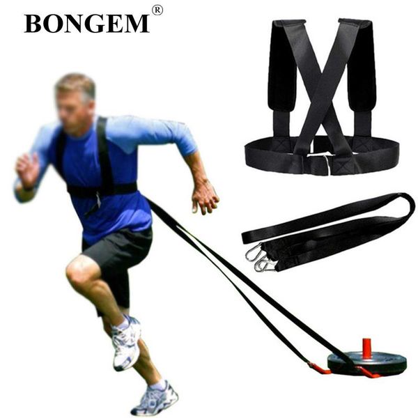 rally belt weight fitness strength training speed running exercise sled harness equipment supplies accessories
rally belt weight fitness strength training speed running exercise sled harness equipment supplies accessories