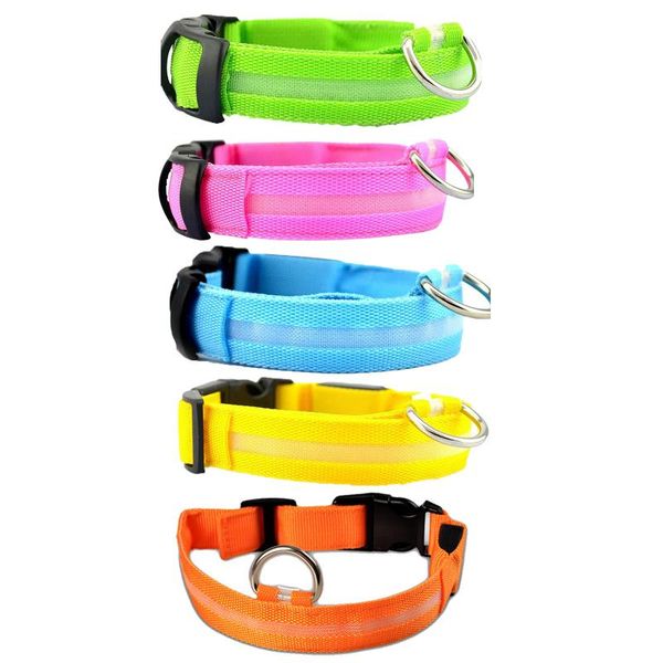 dog night safety collar (size:m) collars & leashes