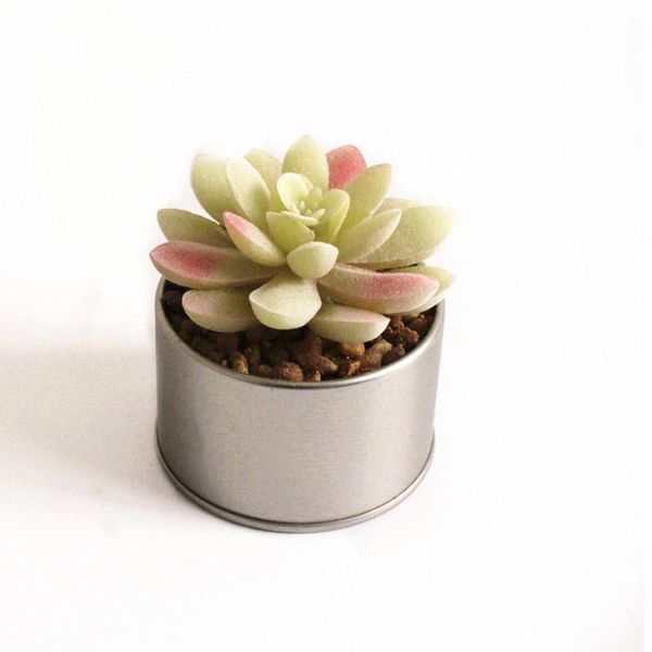 decorative flowers & wreaths realistic mini floral simulation succulent small potted artificial decor
decorative flowers & wreaths realistic mini floral simulation succulent small potted artificial decor