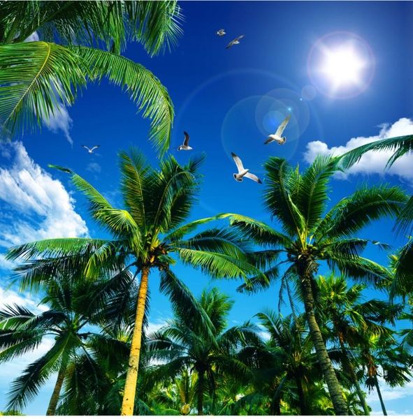 wallpapers 3d po wallpaper for living room ceiling decoration mural coconut tree blue sky white clouds
wallpapers 3d po wallpaper for living room ceiling decoration mural coconut tree blue sky white clouds
