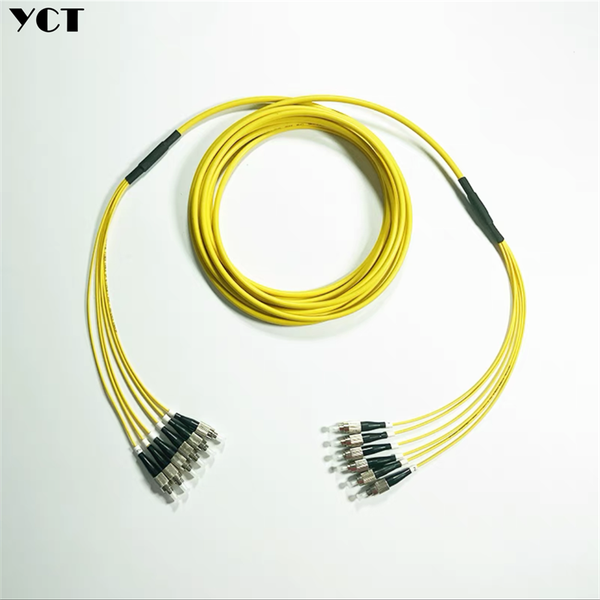 fiber optic equipment 10m indoor 6 cores ftth jumper non armored customized 5.3mm single-mode bundle optical pigtails patchcord sc lc fc st
fiber optic equipment 10m indoor 6 cores ftth jumper non armored customized 5.3mm single-mode bundle optical pigtails patchcord sc lc fc st