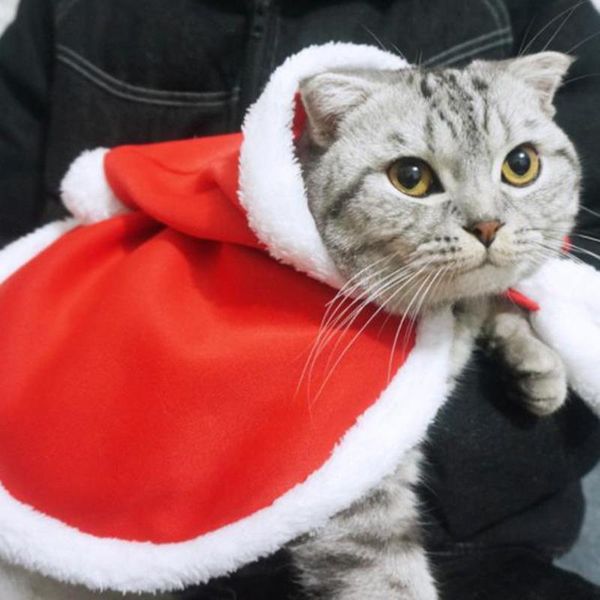 cat costumes christmas dog clothes horned costume puppy coat pet clothing small dogs year suit funny accessory
cat costumes christmas dog clothes horned costume puppy coat pet clothing small dogs year suit funny accessory