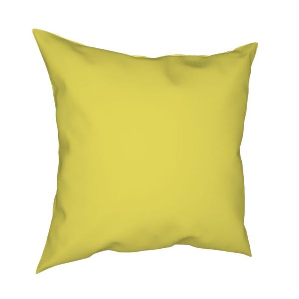 pillow case plain green sheen square pillowcase pattern decorative home cushion cover wholesale 18"
pillow case plain green sheen square pillowcase pattern decorative home cushion cover wholesale 18"