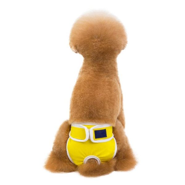dog apparel pet pants durable shorts diapers premium female dogs reusable sanitary panties washable breatherable underwear puppy sel
dog apparel pet pants durable shorts diapers premium female dogs reusable sanitary panties washable breatherable underwear puppy sel