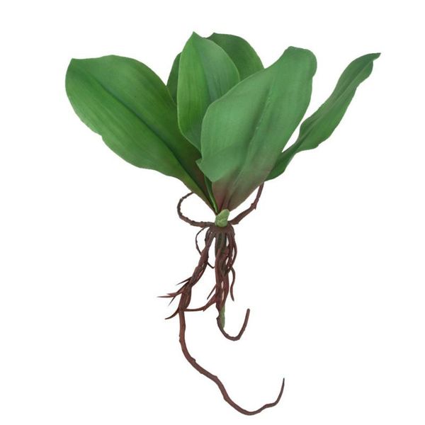 decorative flowers & wreaths branch of phalaenopsis orchid leaf for home office decoration (green)
decorative flowers & wreaths branch of phalaenopsis orchid leaf for home office decoration (green)