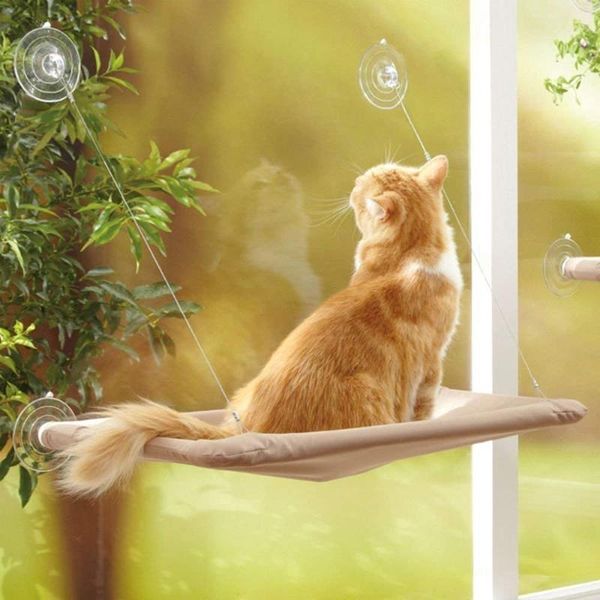 cat hanging beds bearing 20kg bed sunny seat window mounted pet hammock mat comfortable nest shelf & furniture
cat hanging beds bearing 20kg bed sunny seat window mounted pet hammock mat comfortable nest shelf & furniture