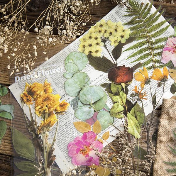 gift wrap big stickers plants handbook diary diy flower scrapbook sticker travel hand account home wall decoration
gift wrap big stickers plants handbook diary diy flower scrapbook sticker travel hand account home wall decoration