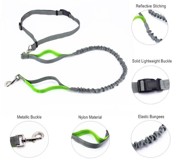 hand running dog lead absorbing reflective leash with adjustable waist belt for walking or jogging collars & leashes
hand running dog lead absorbing reflective leash with adjustable waist belt for walking or jogging collars & leashes