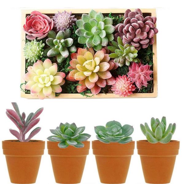 decorative flowers & wreaths 14pcs plastic artificial succulent flocked plant fake cactu-s lotus landscape home decor without flowerpot floc
decorative flowers & wreaths 14pcs plastic artificial succulent flocked plant fake cactu-s lotus landscape home decor without flowerpot floc