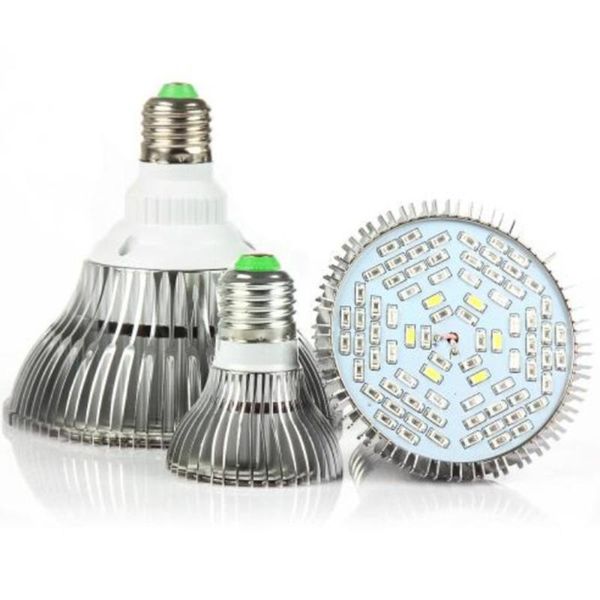 grow lights 50w base e26 led light bulb full spectrum for greenhouse indoor hydroponics succulents flower (78leds)
grow lights 50w base e26 led light bulb full spectrum for greenhouse indoor hydroponics succulents flower (78leds)