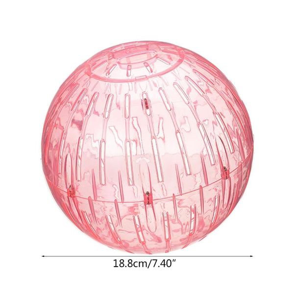small animal supplies hamster exercise ball 7.4 in silent running wheel for guinea pigs chinchillas squirrels made of plastic 3 colors
small animal supplies hamster exercise ball 7.4 in silent running wheel for guinea pigs chinchillas squirrels made of plastic 3 colors