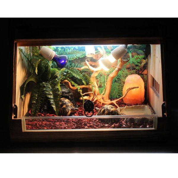 decorations reptile terrarium landscaping natural wood root & ivy vines aquarium decoration
decorations reptile terrarium landscaping natural wood root & ivy vines aquarium decoration