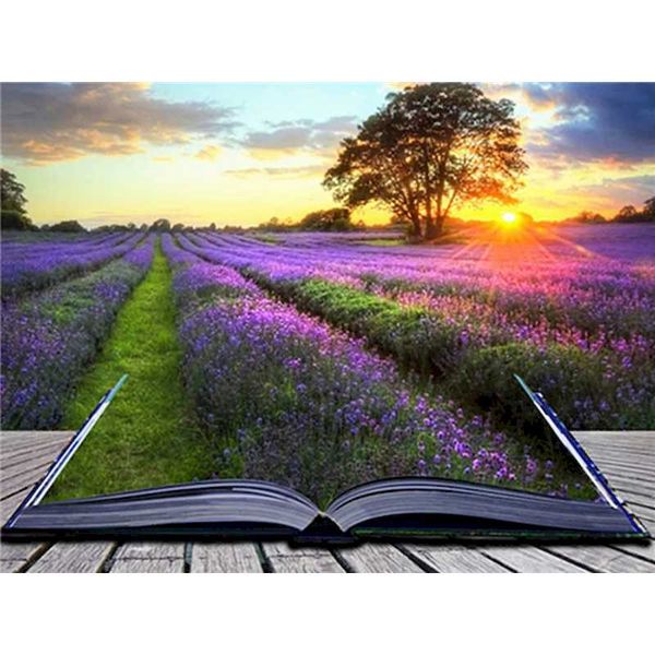 paintings gatyztory frame diy paint by numbers kits flowers modern acrylic wall art home decors coloring for gift 60x75cm
paintings gatyztory frame diy paint by numbers kits flowers modern acrylic wall art home decors coloring for gift 60x75cm