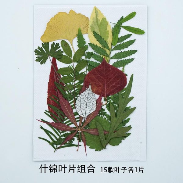 decorative flowers & wreaths true leaf plant specimen bookmark glue mobile phone shell hand paste face makeup scrapbooking accessories home
decorative flowers & wreaths true leaf plant specimen bookmark glue mobile phone shell hand paste face makeup scrapbooking accessories home