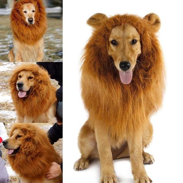 dog apparel 1pcs pet wig funny lion headgear hat with tail festival dress up decor supplies size s,m,l
dog apparel 1pcs pet wig funny lion headgear hat with tail festival dress up decor supplies size s,m,l