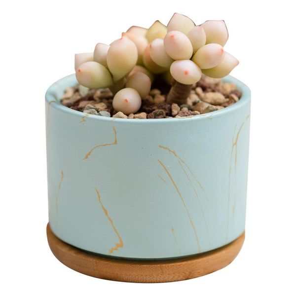 planters & pots ceramic mini succulent flower plants indoor planter red blue green pot supplies garden office deskdecor
planters & pots ceramic mini succulent flower plants indoor planter red blue green pot supplies garden office deskdecor