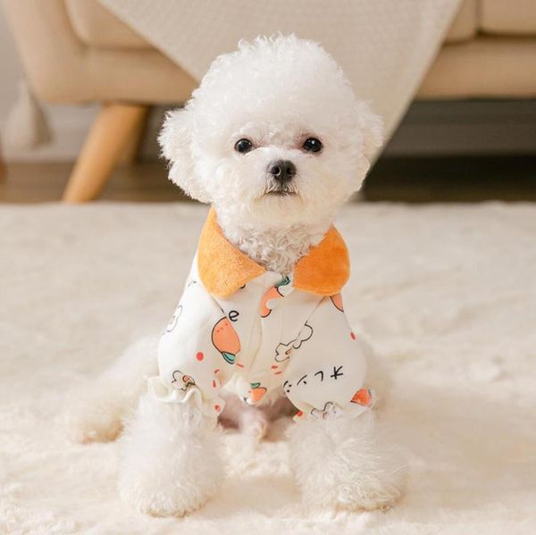 cat costumes dog clothes colorful transparent sun protection teddy puppy summer wear light pet coat jacket
cat costumes dog clothes colorful transparent sun protection teddy puppy summer wear light pet coat jacket