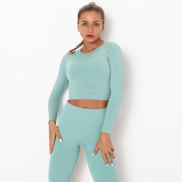 sportswear sport fitness sports gym vital seamless long sleeve crop yoga t-shirt workout for women outfit
sportswear sport fitness sports gym vital seamless long sleeve crop yoga t-shirt workout for women outfit