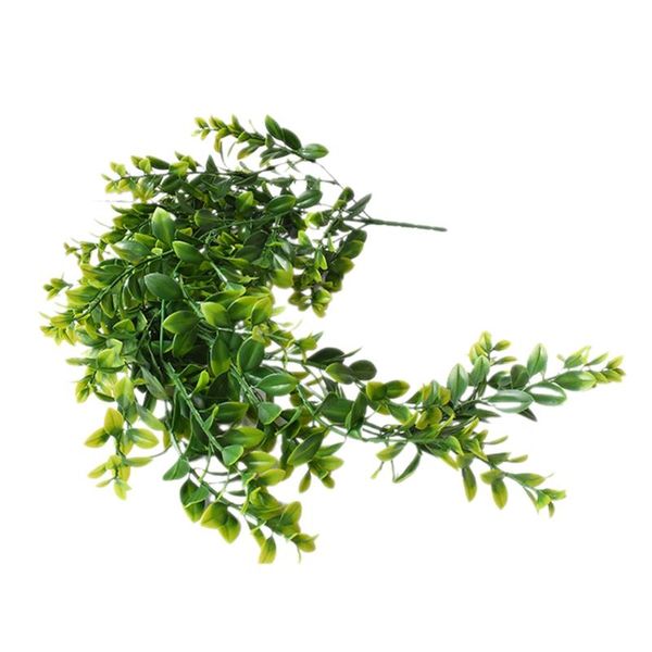 decorative flowers & wreaths artificial hanging plant, cirrus leaf, fake plastic home shelve bedroom wall indoor outdoor garland 2pcs decora
decorative flowers & wreaths artificial hanging plant, cirrus leaf, fake plastic home shelve bedroom wall indoor outdoor garland 2pcs decora