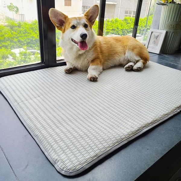 kennels & pens hoopet summer dog mat large ratten cool bed washable mattres kennel sleeping cushion soft pet accessories
kennels & pens hoopet summer dog mat large ratten cool bed washable mattres kennel sleeping cushion soft pet accessories