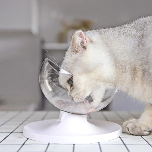 cat bowls & feeders creative transparent adjustable pet bowl anti-skid tilting style feeder for dogs feeding supplies
cat bowls & feeders creative transparent adjustable pet bowl anti-skid tilting style feeder for dogs feeding supplies