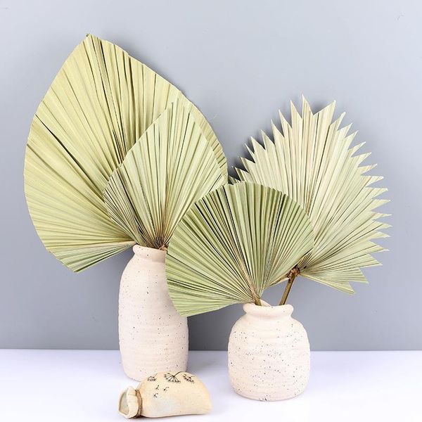 decorative flowers & wreaths 1pcs palm fan leaf dried flower window reception party art wall hanging decoration wedding arch arrangement
decorative flowers & wreaths 1pcs palm fan leaf dried flower window reception party art wall hanging decoration wedding arch arrangement