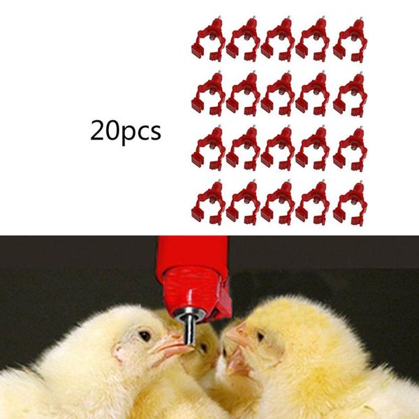 other bird supplies 20pcs/set red chicken automatic drinker nipple poultry duck hanging drinking water feeder
other bird supplies 20pcs/set red chicken automatic drinker nipple poultry duck hanging drinking water feeder