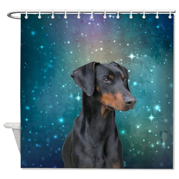 dog mammal vertebrate dog breed canidae carnivore dobermann pinscher guard dog bath decorative shower curtain bathroom
dog mammal vertebrate dog breed canidae carnivore dobermann pinscher guard dog bath decorative shower curtain bathroom