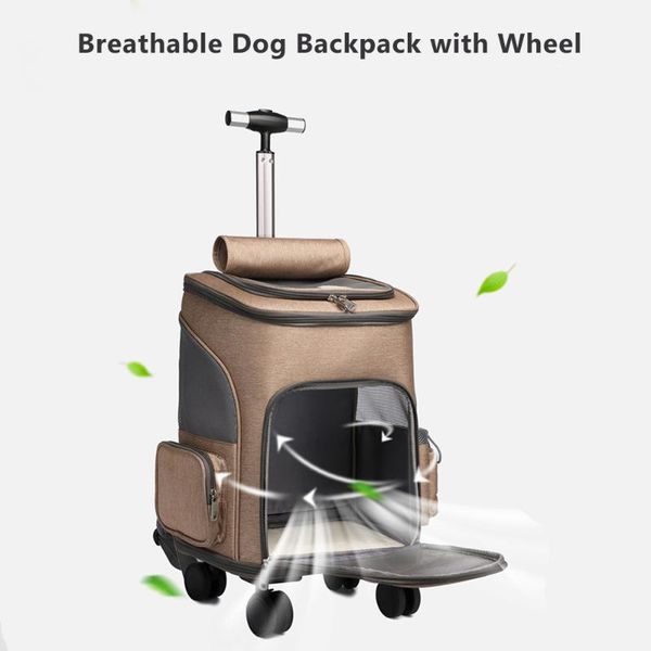 dog car seat covers carrier backpack with wheels travel luxury cat stroller pet rolling accessories
dog car seat covers carrier backpack with wheels travel luxury cat stroller pet rolling accessories