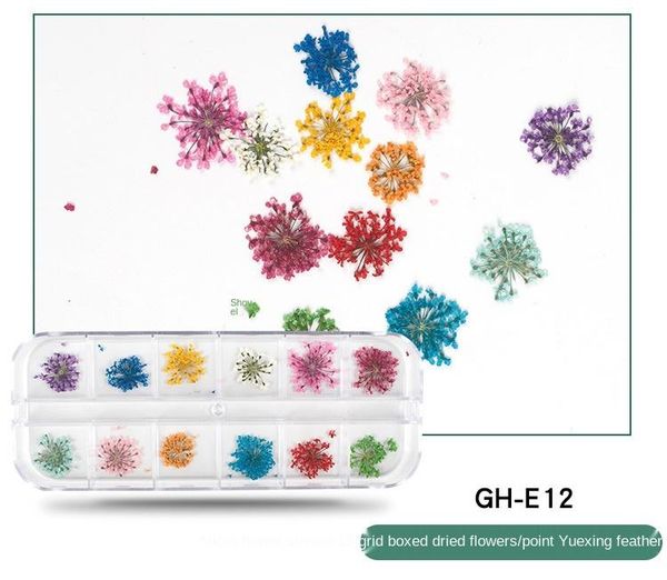 decorative flowers & wreaths colorful real dried flower plant pendant necklace jewelry making process daisy 24piece setbox
decorative flowers & wreaths colorful real dried flower plant pendant necklace jewelry making process daisy 24piece setbox