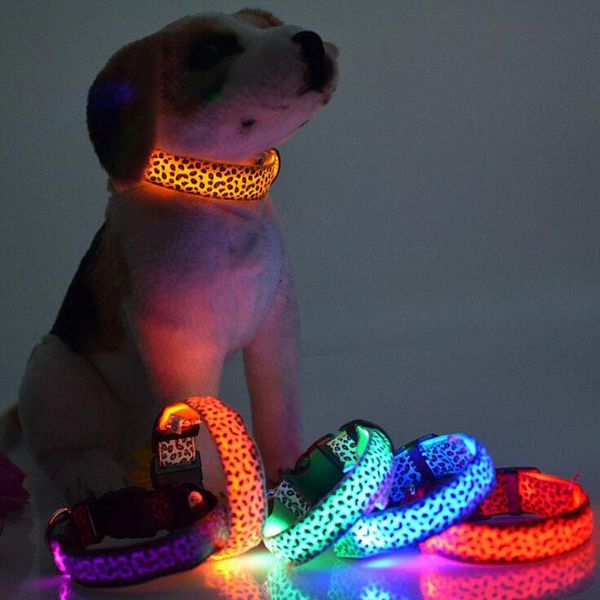 adjustable led glowing pet dog collar nylon leopard puppy cat night safety luminous flashing fluorescent neck belt pets supplies collars & l
adjustable led glowing pet dog collar nylon leopard puppy cat night safety luminous flashing fluorescent neck belt pets supplies collars & l