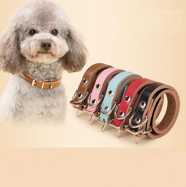 real genuine leather dog collar engraving soft durable comfortable collars for small medium dogs personalized id tag nameplate & leashes
real genuine leather dog collar engraving soft durable comfortable collars for small medium dogs personalized id tag nameplate & leashes