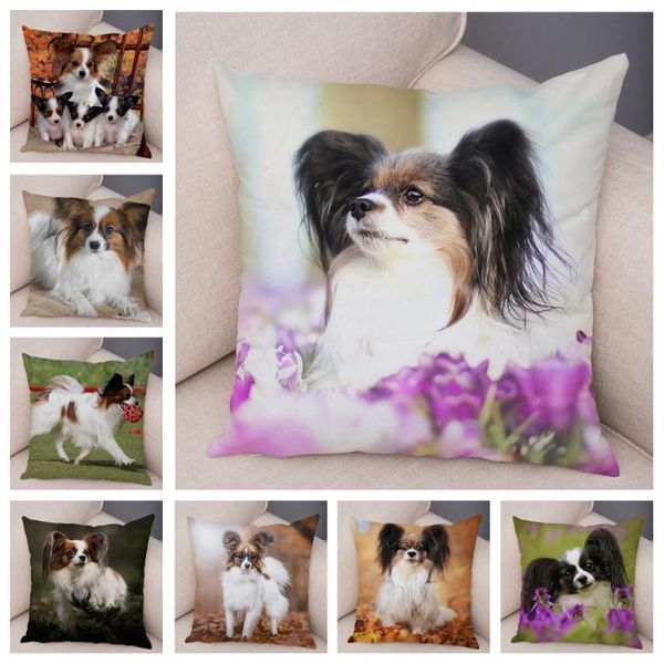 cushion/decorative pillow cute pet animal cushion cover spain papillon dog soft plush pillowcase decor printed case for sofa home car 45*45c
cushion/decorative pillow cute pet animal cushion cover spain papillon dog soft plush pillowcase decor printed case for sofa home car 45*45c
