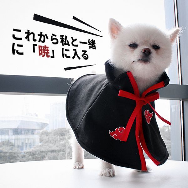 dog cat cloak huoyingxiao organization member pet cloth bomei teddy bear corky small dog cos
dog cat cloak huoyingxiao organization member pet cloth bomei teddy bear corky small dog cos