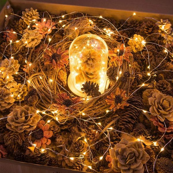 strings 20/10/5/3/2/1m copper wire led string lights holiday decor christmas tree decorations for home outdoor wedding party decoration
strings 20/10/5/3/2/1m copper wire led string lights holiday decor christmas tree decorations for home outdoor wedding party decoration