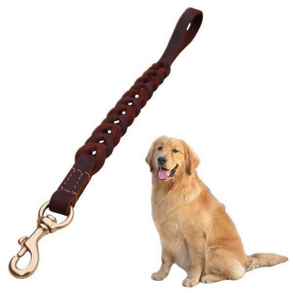 dog collars & leashes leash short lead braided real leather one step traction belt explosion-proof walking training for medium large big
dog collars & leashes leash short lead braided real leather one step traction belt explosion-proof walking training for medium large big