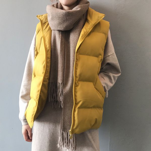 women's sweaters winter cotton vest coat women sleeveless stand collar zipper padded jacket solid color windproof warm waistcoat 9, White;black
women's sweaters winter cotton vest coat women sleeveless stand collar zipper padded jacket solid color windproof warm waistcoat 9, White;black
