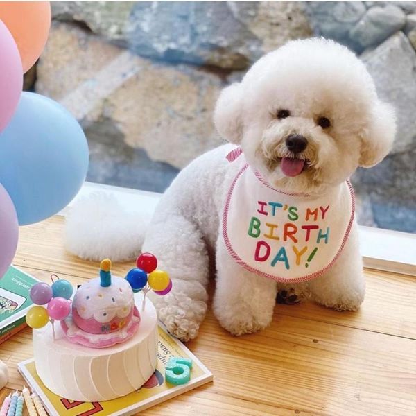 dog apparel pet accessories happy birthday cat bandana bibs scarf cotton adjustable neckerchief saliva towel collar
dog apparel pet accessories happy birthday cat bandana bibs scarf cotton adjustable neckerchief saliva towel collar