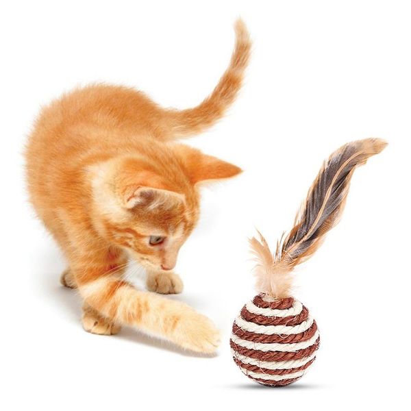 cat toys pet toy colorful built-in catnip interactive bells peluche handmade bouncy juguetes para gatos speelgoed
cat toys pet toy colorful built-in catnip interactive bells peluche handmade bouncy juguetes para gatos speelgoed