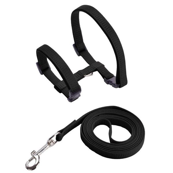 cat collars & leads harness and leash set escape proof adjustable puppy small dog for pet walking nylon outdoor collar
cat collars & leads harness and leash set escape proof adjustable puppy small dog for pet walking nylon outdoor collar