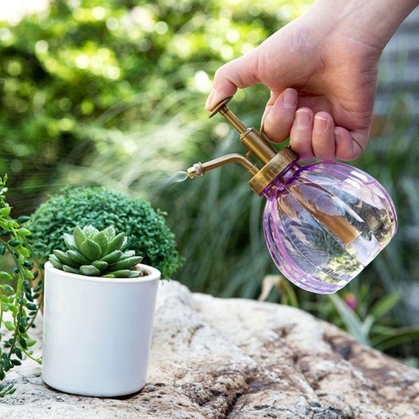 watering equipments 350ml vintage pumpkin shape flower plant bonsai can pot plastic spray bottle mister press type garden tool succulent
watering equipments 350ml vintage pumpkin shape flower plant bonsai can pot plastic spray bottle mister press type garden tool succulent